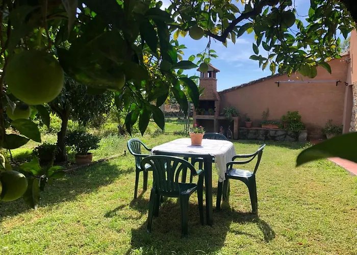 El Huerto De Lino